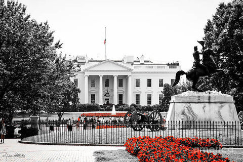 The White House #1 - Art Print